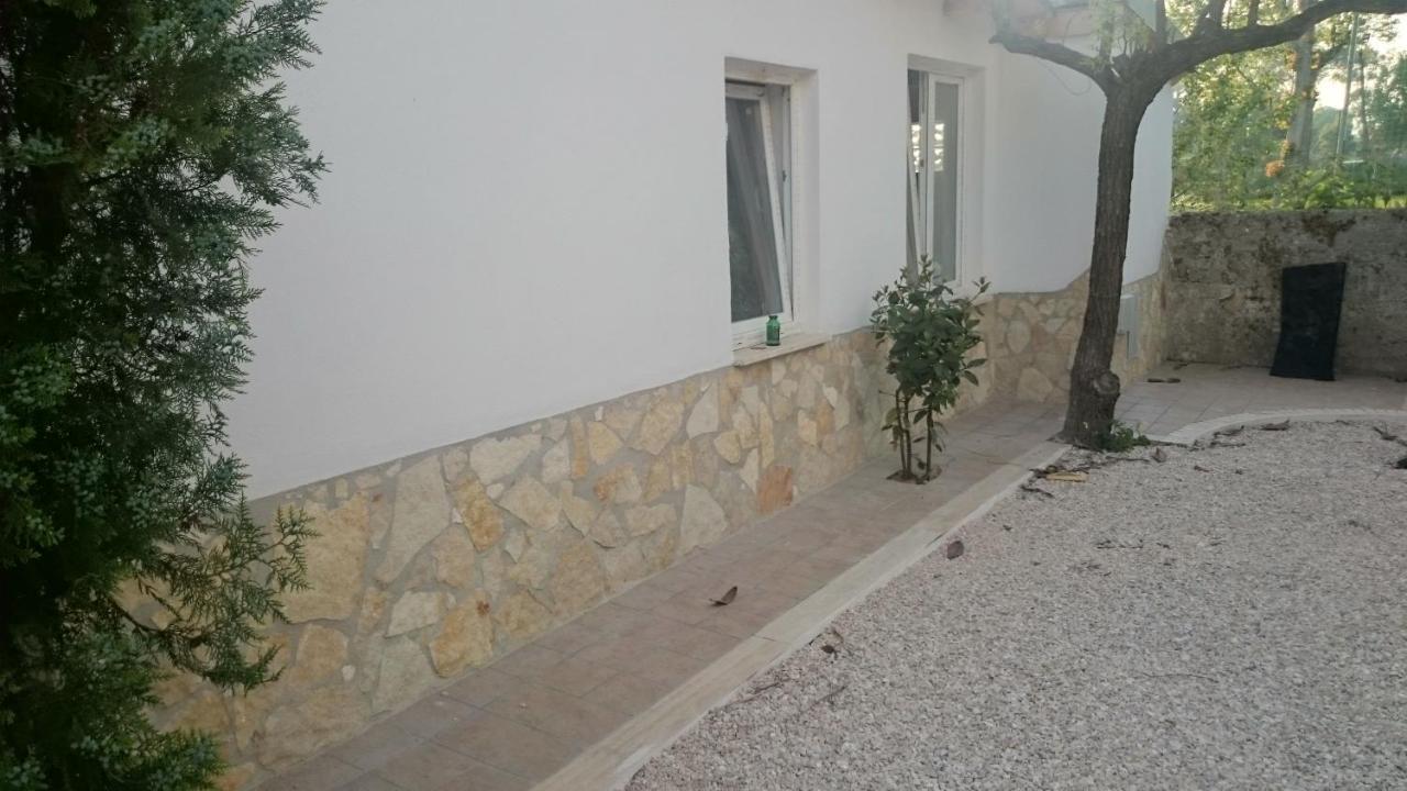 Edvige'S House Villa San Felice Circeo Eksteriør billede